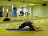 poses/bForwardlungelegstretch1.jpg